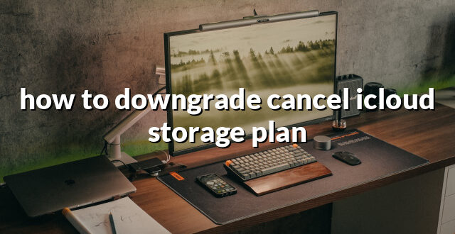 how to downgrade cancel icloud storage plan