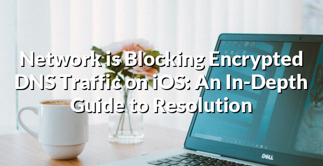 Network is Blocking Encrypted DNS Traffic on iOS: An In-Depth Guide to Resolution