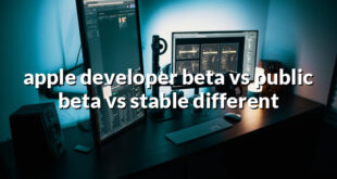 apple developer beta vs public beta vs stable different