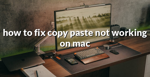 how to fix copy paste not working on mac