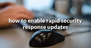 how to enable rapid security response updates