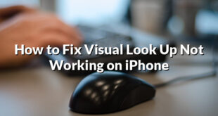 How to Fix Visual Look Up Not Working on iPhone