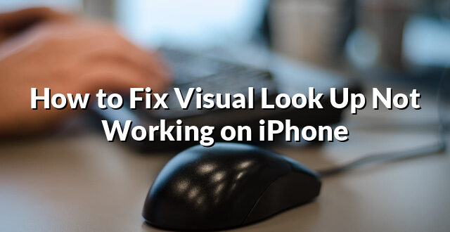 How to Fix Visual Look Up Not Working on iPhone