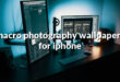 macro photography wallpapers for iphone