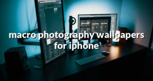 macro photography wallpapers for iphone