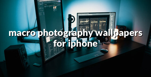 macro photography wallpapers for iphone