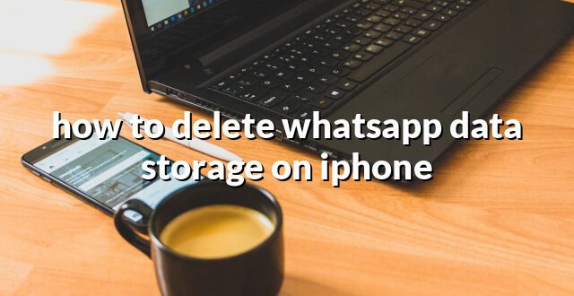 how to delete whatsapp data storage on iphone